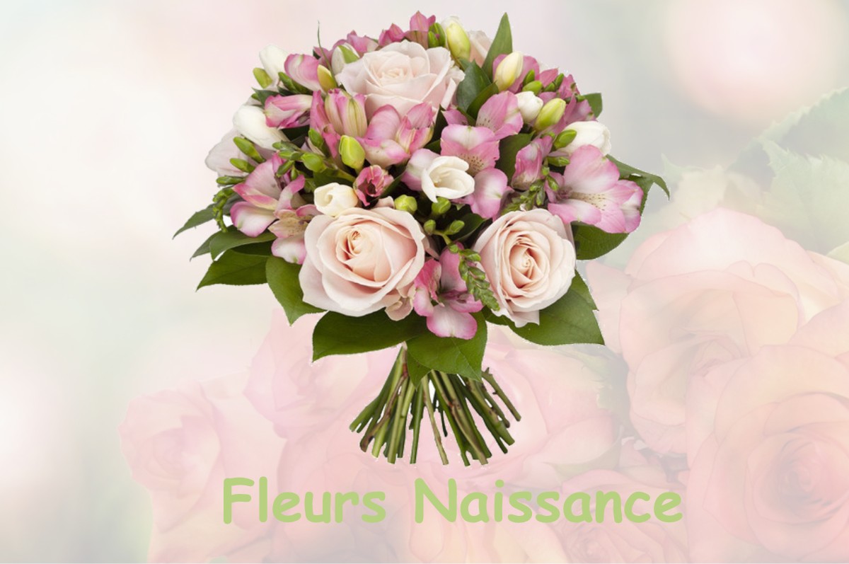 fleurs naissance VARENNES-SAINT-HONORAT